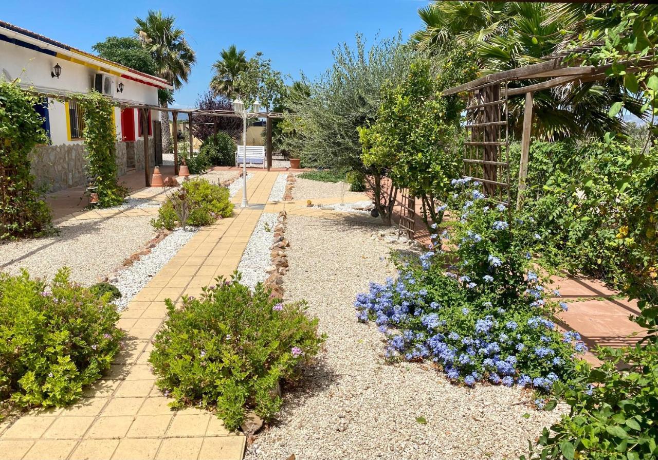 كريفايلنت B&B Casa Azul المظهر الخارجي الصورة